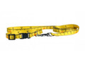 Matteo Dog Collar Plastic Buckle 15mm, measure