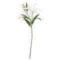 SMYCKA Artificial flower, Lily, white, 85 cm