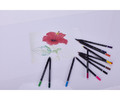 Astra Black Wood Coloured Pencils 12 Colours + Sharpener