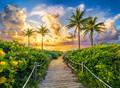 Castorland Jigsaw Puzzle Colorful Sunrise in Miami, USA 3000pcs