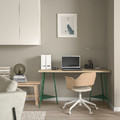 MÅLSKYTT / TILLSLAG Desk, birch/green, 140x60 cm