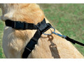 Zolux Car Safety Harness for Large & Giant Dogs XL