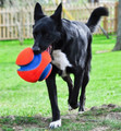 Chuckit! Kick Fetch Dog Ball Small