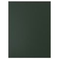 HAVSTORP Door, deep green, 60x80 cm