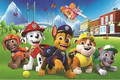 Trefl Children's Puzzle Paw Patrol On the Field 60pcs 4+