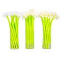 Starpak Silicone Gel Pen Fresh Flowers Lily 54pcs