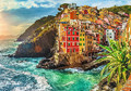 Trefl Jigsaw Puzzle Premium Riomaggiore 1000pcs