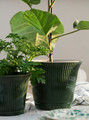 KAMOMILL Plant pot, green, 15 cm