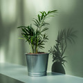 BINTJE Plant pot, galvanised, 9 cm