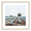 Picture Set Dried Plants & Succulents 30 x 30 cm 4-pack