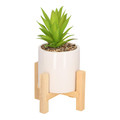 Artificial Plant Succulent, boho, light green