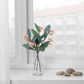 SMYCKA Artificial flower, Eucalyptus, pink, 30 cm