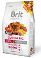 Brit Animals Guinea Pig Complete Food 300g