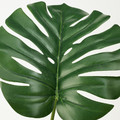 FEJKA Artificial potted plant, indoor/outdoor, Monstera, 19 cm