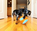 Chuckit! Indoor Ball Dog Toy