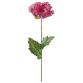 SMYCKA Artificial flower, in/outdoor/Poppy pink, 55 cm