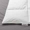 FJÄLLARNIKA Duvet, warm, 200x200 cm