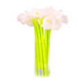 Starpak Silicone Gel Pen Fresh Flowers 54pcs