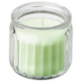 LÖVSKOGSLUND Scented candle in glass, apple/light yellow, 12 hr