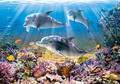 Castorland Jigsaw Puzzle Dolphins Underwater 500pcs 9+