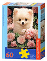 Castorland Children's Puzzle Pomeranian Puppy in Roses 60pcs 5+