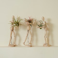 FEJKA Artificial plant, set of 3, air plant