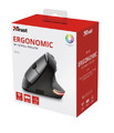 Trust Optical Wireless Mouse Ergonomic, black