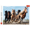 Trefl Jigsaw Puzzles Horses 1000pcs 12+