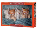 Castorland Jigsaw Puzzle The Sweetest Kittens 1000pcs 9+