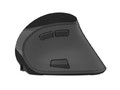 Natec Euphonie Optical Wireless Mouse, black