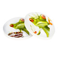 Glass Motiv Magnet 3.5cm 2pcs Frogs Comic