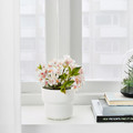 FÖRENLIG Plant pot, indoor/outdoor white, 9 cm