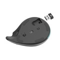 Hama Wireless Ergonomic Mouse EMW-700