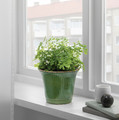 KAMOMILL Plant pot, green, 15 cm