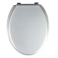 Cooke & Lewis Toilet Seat Palmi, silver