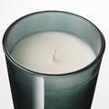 PÄRONTRÄD Scented candle in glass with lid, Mountain air/turquoise, 25 hr