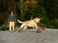 Chuckit! Kick Fetch Dog Ball Small