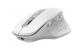 Trust Rechargeable Wireless Optical Mouse OZAA, white
