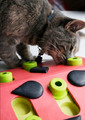 Nina Ottosson Melon Madness Puzzle & Play Cat Game