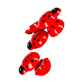 Magnets Ladybug 6pcs