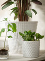 CHIAFRÖN Plant pot, white, 9 cm