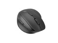 NATEC Optical Wireless Mouse Vertical Crake 2