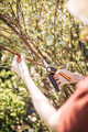 Fiskars Bypass Pruner X-Series M P921