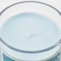 BUKETTAPEL Scented candle in glass, bergamot & cedarwood/pale green, 45 hr