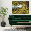 Picture Glasspik Green Tree 80 x 120 cm