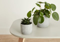 Ceramic Plant Pot GoodHome 9 cm, spotted