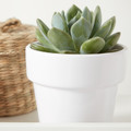 Plant Pot GoodHome 9 cm, white