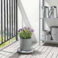 NYPON Plant pot, indoor/outdoor, grey, 19 cm