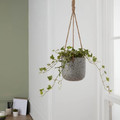 Hanging Plant Pot GoodHome 12 cm, cement effect