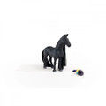 Schleich Beauty Horse Criollo Definitivo Mare 4+